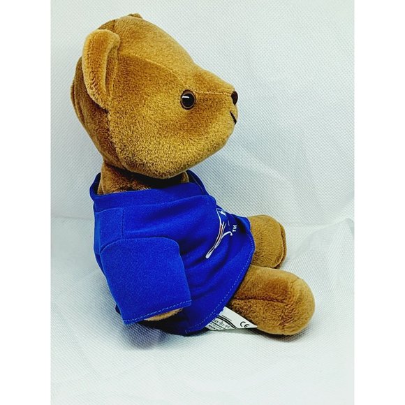 Vintage 1999 Play By Play NFL New England Patriots Stuffed Bear Mascot - Collect - Picture 11 of 15